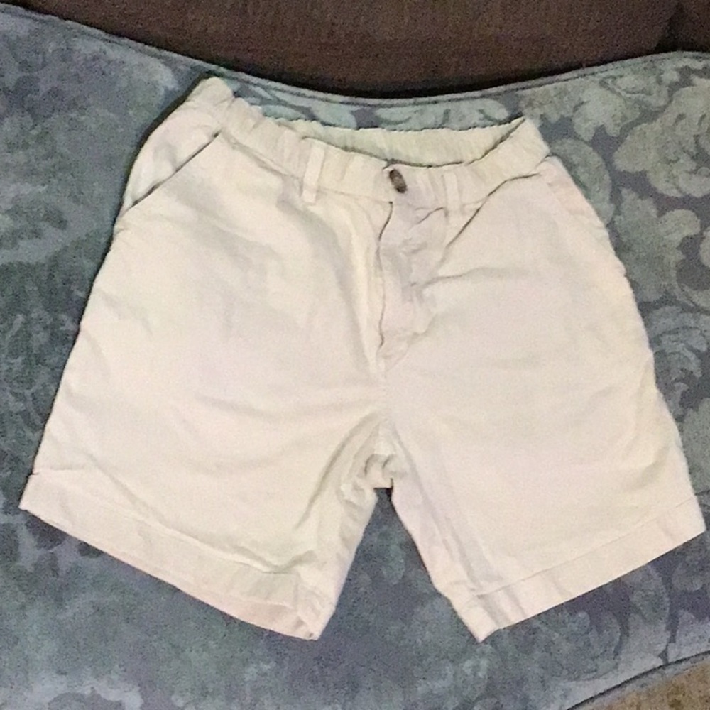 Chubbies Adult Shorts